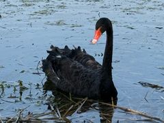 -昆山城市生态森林公园