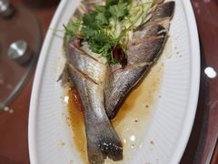 -渔掌门(铁东店)