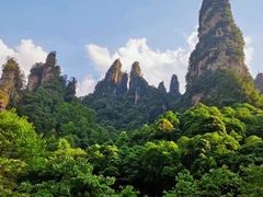 -业华湘·特色菜
