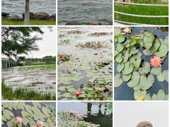 -滴水湖