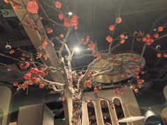 -佬肥猫(国华广场店)