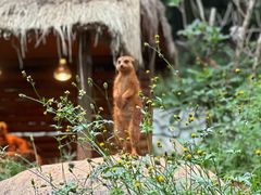 -云南野生动物园