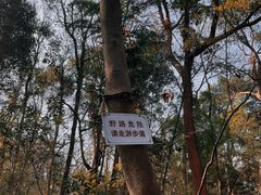 -杭州植物园