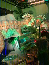 点击看大图 -恐龙探索乐园(磁器口店)