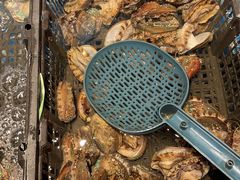 鲍鱼-星伦多自助料理·涮烤一体(杭州来福士店)