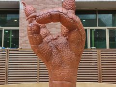 -国家五钻酒家·西樵旺阁渔村(西樵店)