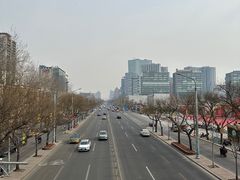 -三里屯东五街银杏大道