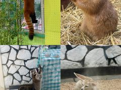 -海合安武汉极地海洋公园