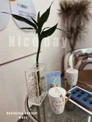 -MINX名珂斯·烫染形象设计