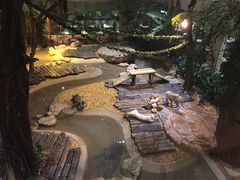 -麒麟中餐厅·经典粤菜·地道菜式老字号(广州长隆酒店)