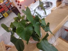 -蛙一刀·麻椒鱼火锅(金仙桥店)