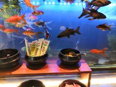 -西安高新希尔顿酒店·咖啡露台西餐厅