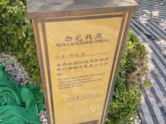 -大连金石滩绿发温泉假日酒店