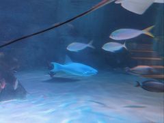 -沈阳海洋探索中心