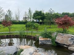 -西海子公园