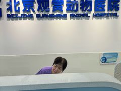-北京观赏动物医院·24小时大型综合·猫专科·异宠专科