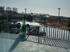 -君豪蟹都·湖景·农家乐(蟹舫苑店)
