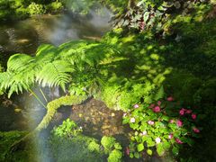 -Chom Cafe and Restaurant