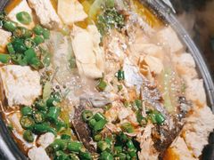 -探鱼·鲜青椒爽麻烤鱼(北京路天河城店)