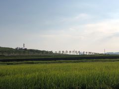 -光明小镇欢乐田园
