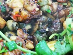 -广宁炭炉鸡煲·富临门饭店