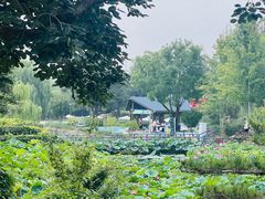 -静之湖度假区