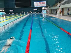 -重庆市奥林匹克体育中心-游泳跳水馆