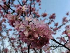 -金鸡山公园