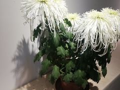 -汇龙潭