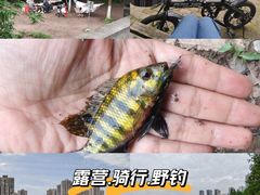 -重庆彩云湖湿地公园