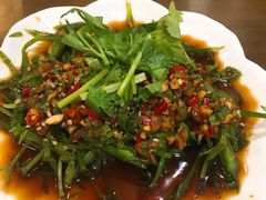 凉拌水性杨花-88号小吃店·经典云南菜·地道纳西美食