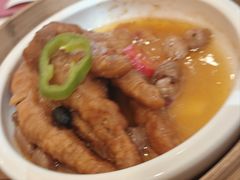 -金河半岛园林酒家(金融城店)