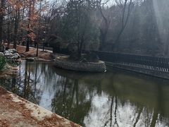 -白水寺森林公园