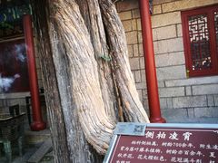 -青岛崂山太清宫
