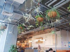 -Wagas沃歌斯(五道口购物中心店)