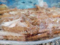 -鑫渔港海鲜本地菜·山海关浑锅(东戴河店)