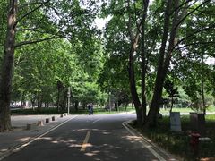 -曲阜师范大学(曲阜校区)