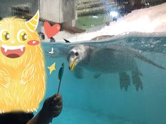 -大连圣亚海洋世界