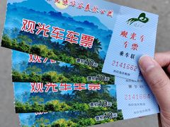 -本溪汤沟绿石谷森林公园