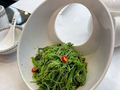 凉拌丝瓜尖-潇湘楼(环保园店)