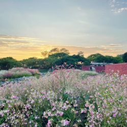 -加帕瑜伽培训学院