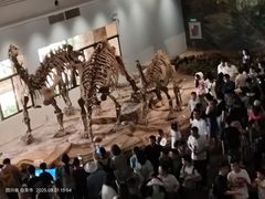 -自贡恐龙博物馆