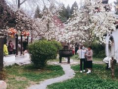 -花洲书院