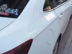 -XPEL旗舰店·汽车贴膜·隐形车衣·改色贴膜