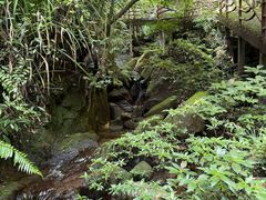 -海南热带雨林国家公园吊罗山景区