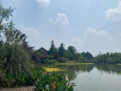 -桤木河湿地公园