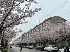 -永乐路-路侧停车场