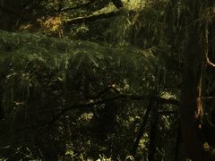 -杭州植物园