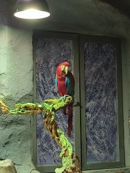 -Zoolung Zoolung动物主题公园(海信广场店)