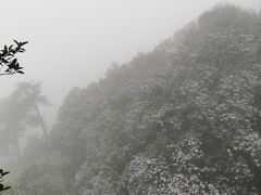 -缙云山景区